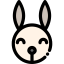Rabbit 图标 64x64