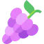 Grapes Symbol 64x64