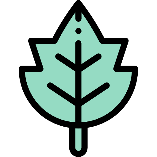 Leaf icon