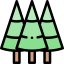 Pine icon 64x64