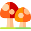 Mushrooms icon 64x64