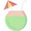Coconut drink icon 64x64