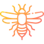 Bee icon 64x64