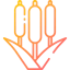 Reeds icon 64x64