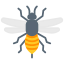 Bee icon 64x64
