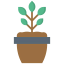 Plant icon 64x64