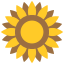 Flower icon 64x64