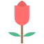 Тюльпан иконка 64x64