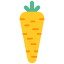 Carrot 图标 64x64