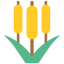 Reeds icon 64x64