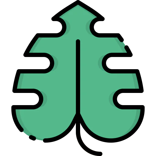Leaf icon