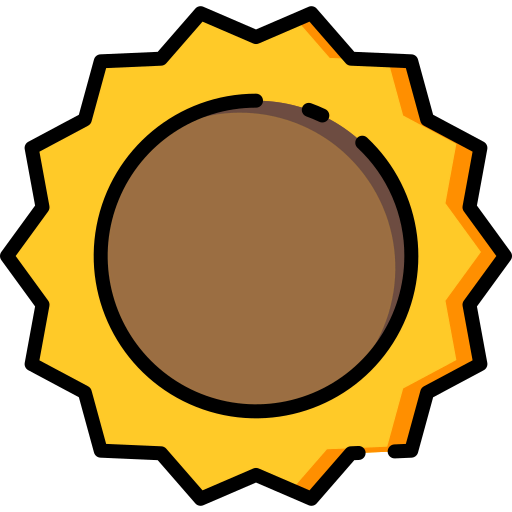 Sun icon