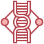 Dna structure biểu tượng 64x64