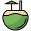Coconut water 图标 64x64
