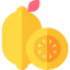 Lemon 상 64x64