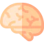 Brain icon 64x64