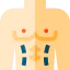 Torso icon 64x64