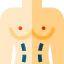 Torso icon 64x64