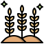 Wheat icon 64x64