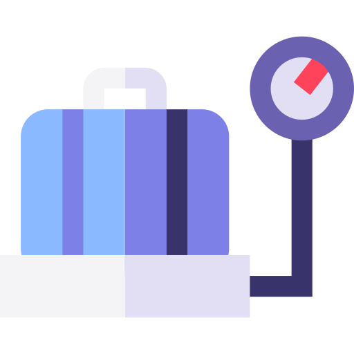 Scale icon