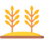 Wheat icon 64x64