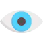 Visible 图标 64x64