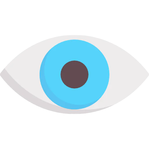 Visible icon