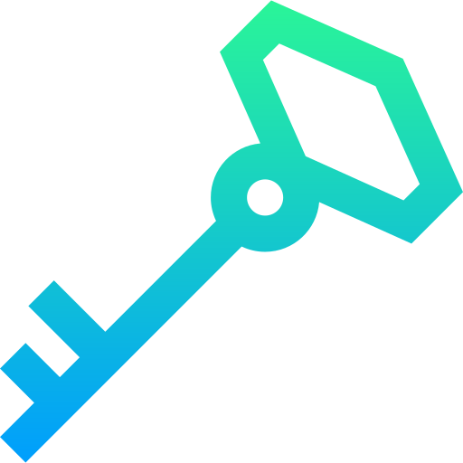 Key icon