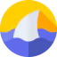Shark icon 64x64