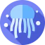 Jellyfish icon 64x64