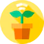 Plant icon 64x64