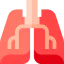 Lungs biểu tượng 64x64