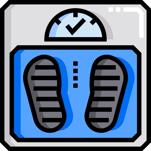 Scale icon