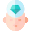 Perfectionist іконка 64x64