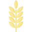Cereal icon 64x64