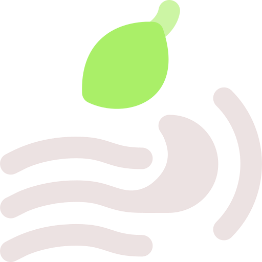 Wind icon