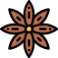 Anise icon 64x64