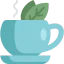Herbal tea 图标 64x64