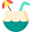 Coconut drink icon 64x64
