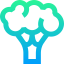 Broccoli icon 64x64