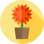 Flower icon 64x64