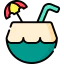 Coconut drink icon 64x64