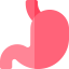Stomach icon 64x64