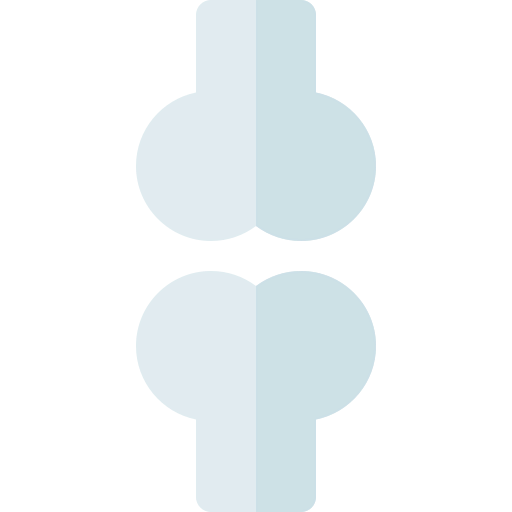 Bone icon