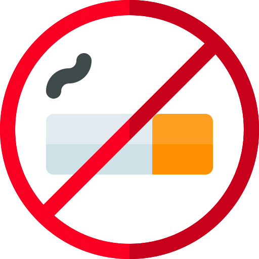 No smoking icône