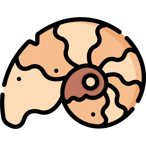 Fossil icon