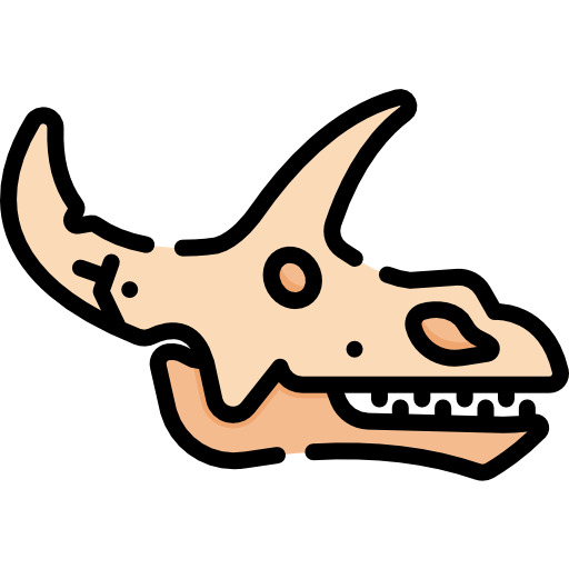 Fossil icon