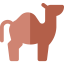 Camel іконка 64x64