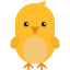 Chick icon 64x64