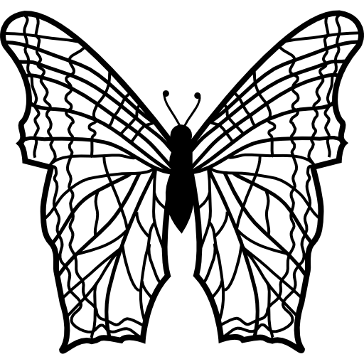 Butterfly with complex thin lines pattern wings from top view icon